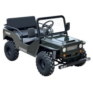 massimo minis 125 go karts 125cc 9hp