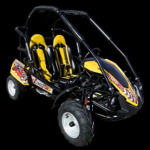trailmaster blazer 200r mid go karts.
