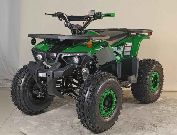125cc youth atv 4 stroke 1 cylinder just arrived 2025 125cc youth atv 4 stroke 1 cylinder just arrived 2025