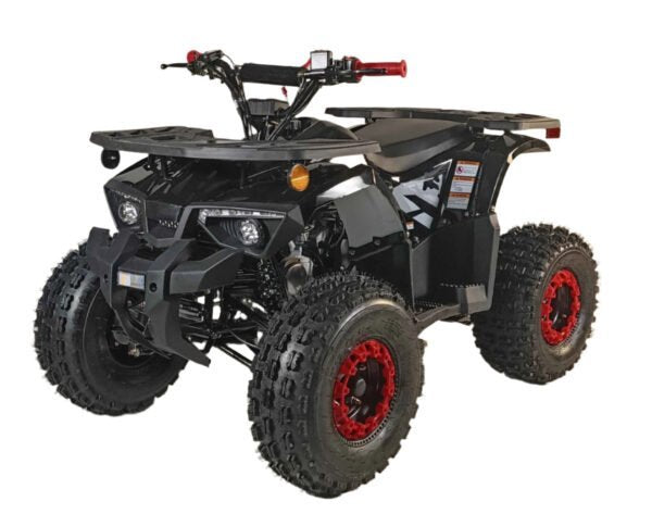 125cc youth atv 4 stroke 1 cylinder just arrived 2025 125cc youth atv 4 stroke 1 cylinder just arrived 2025