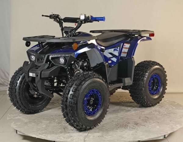 125cc youth atv 4 stroke 1 cylinder just arrived 2025 125cc youth atv 4 stroke 1 cylinder just arrived 2025