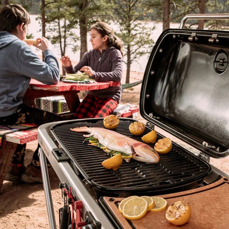 weber 9010001 traveler portable grill weber 9010001 traveler portable grill