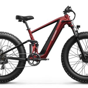 puckipuppy goldenr dual motor e bikes.