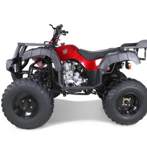 taotao 250 rhiino adult utility atv