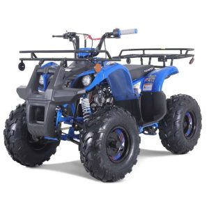 taotao t force t125 4 wheeler all terraiin vehicle atv
