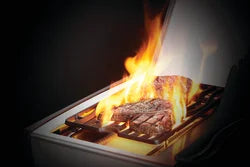 napoleon rogue se 425 gas grills napoleon rogue se 425 gas grills