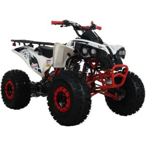 x pro 125cc atv with reverse electriic start luggage rack led headlight